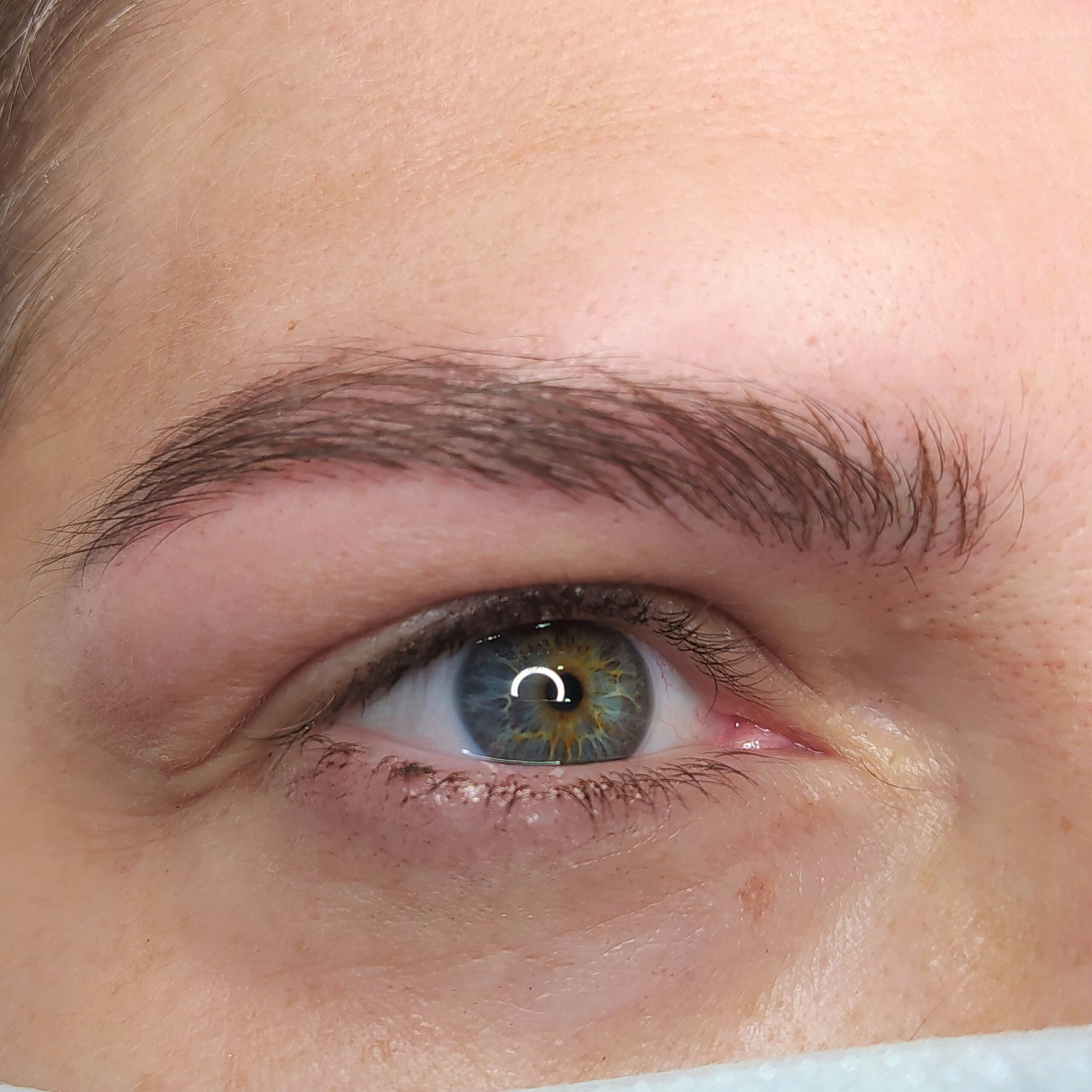 pigmentacioón de cejas